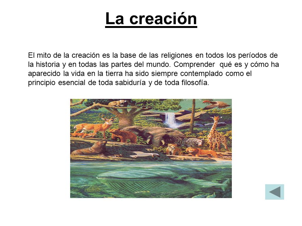 La creación