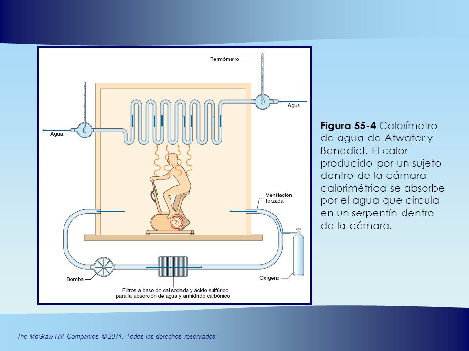 Figura 55-4 Calorímetro de agua de Atwater y Benedict