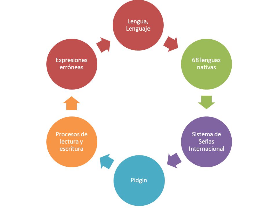 Sistema de Señas Internacional Pidgin Procesos de lectura y escritura