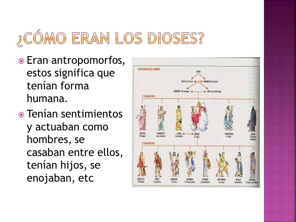 ¿Cómo eran los dioses Eran antropomorfos, estos significa que tenían forma humana.