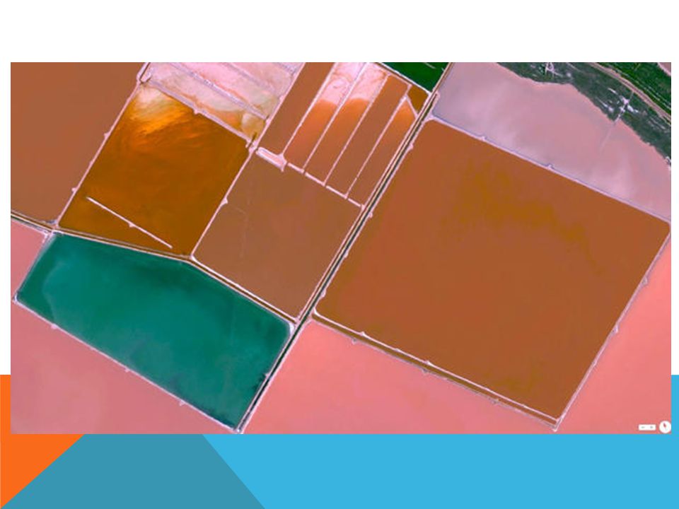 Produto-de-micro-algas-respons-veis-pela-colora-o-ex-tica-da-gua-na-Lagoa-Hutt-Austr-lia (Daily Overview)