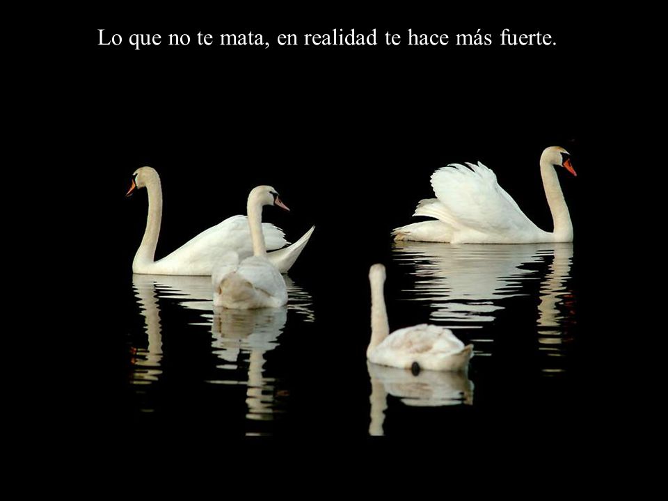 Lo que no te mata, en realidad te hace más fuerte.