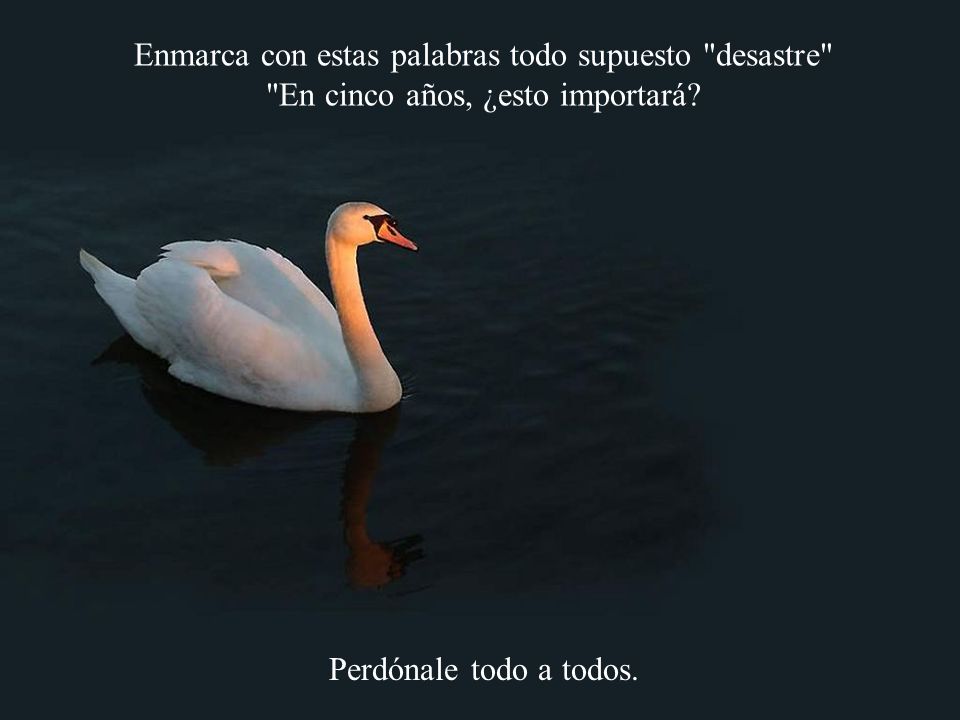 Enmarca con estas palabras todo supuesto desastre En cinco años, ¿esto importará