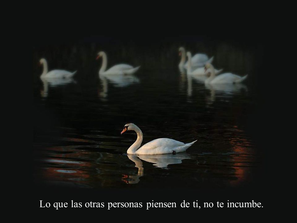 Lo que las otras personas piensen de ti, no te incumbe.
