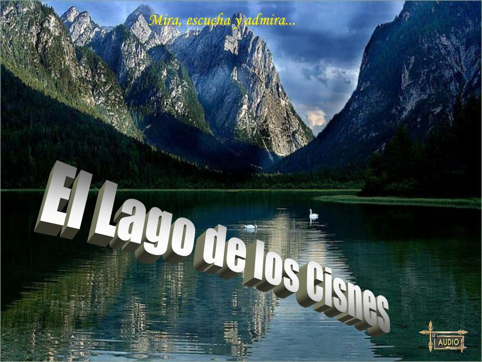Mira, escucha y admira... El Lago de los Cisnes
