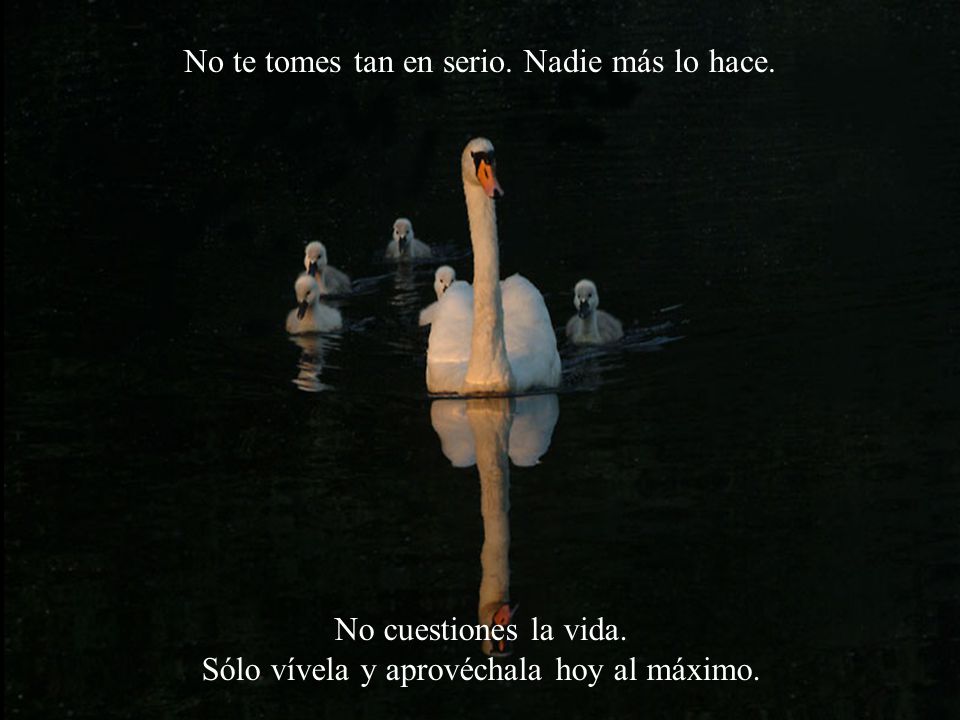 No te tomes tan en serio. Nadie más lo hace.