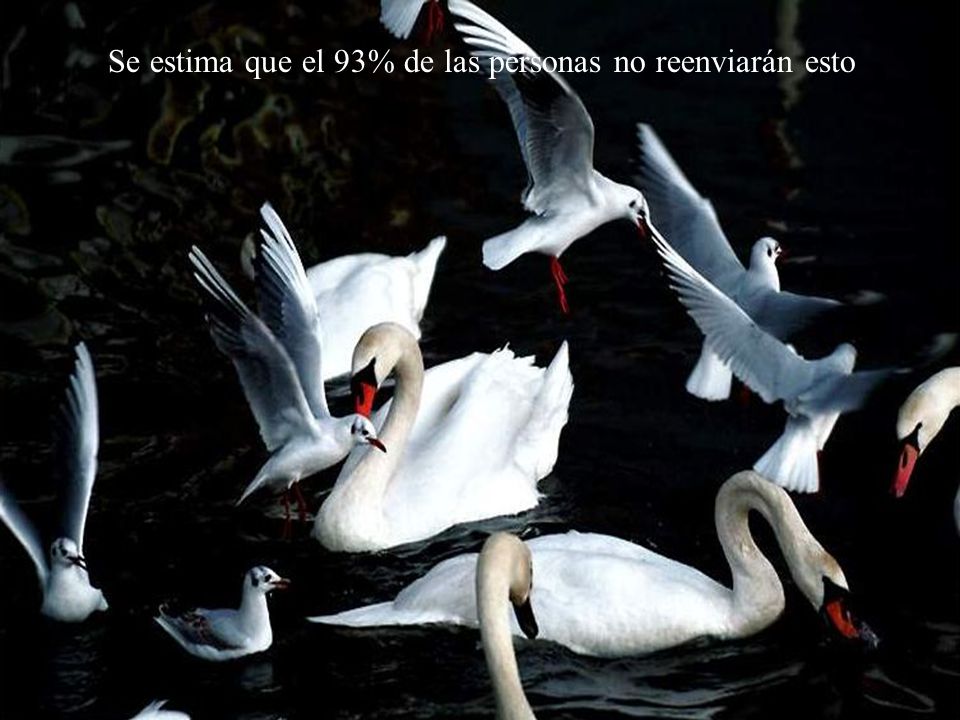 Se estima que el 93% de las personas no reenviarán esto