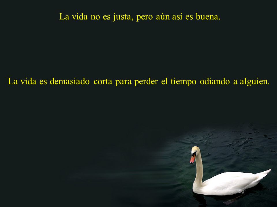 La vida no es justa, pero aún así es buena.