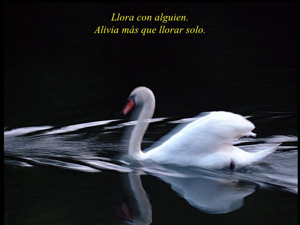 Llora con alguien. Alivia más que llorar solo.