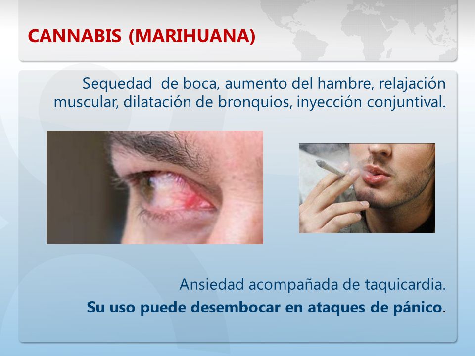 CANNABIS (MARIHUANA) Sequedad de boca, aumento del hambre, relajación muscular, dilatación de bronquios, inyección conjuntival.