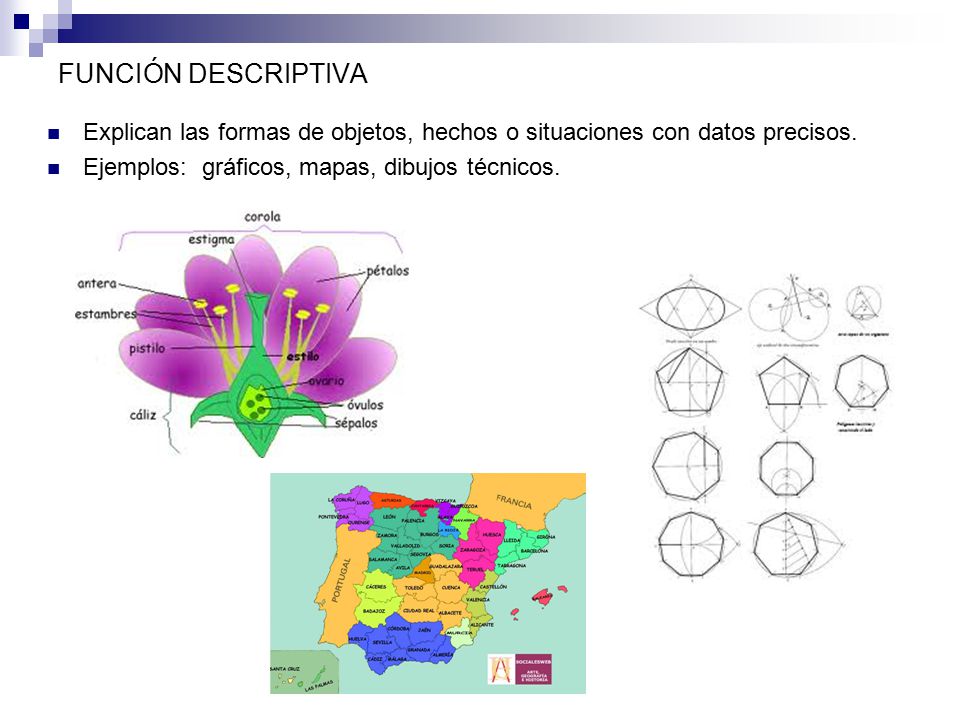 FUNCIÓN DESCRIPTIVA Explican las formas de objetos, hechos o situaciones con datos precisos.