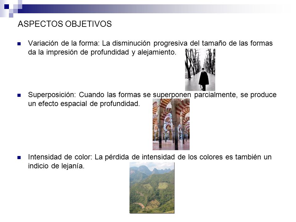 ASPECTOS OBJETIVOS Variación de la forma: La disminución progresiva del tamaño de las formas da la impresión de profundidad y alejamiento.