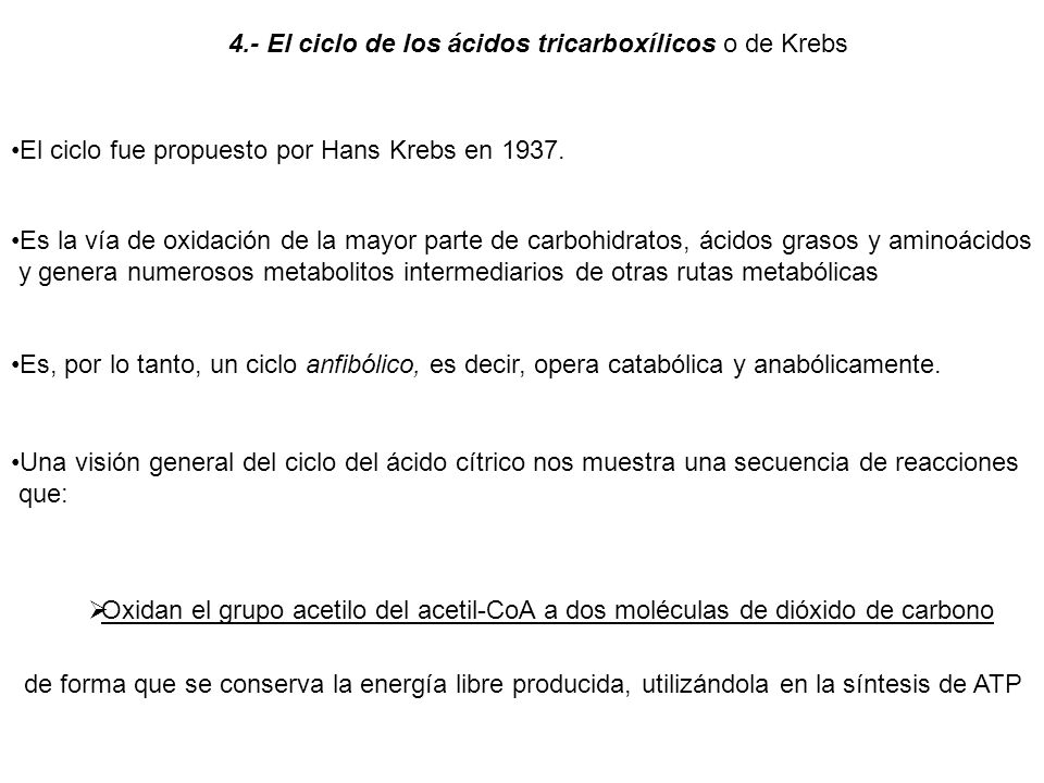 4.- El ciclo de los ácidos tricarboxílicos o de Krebs