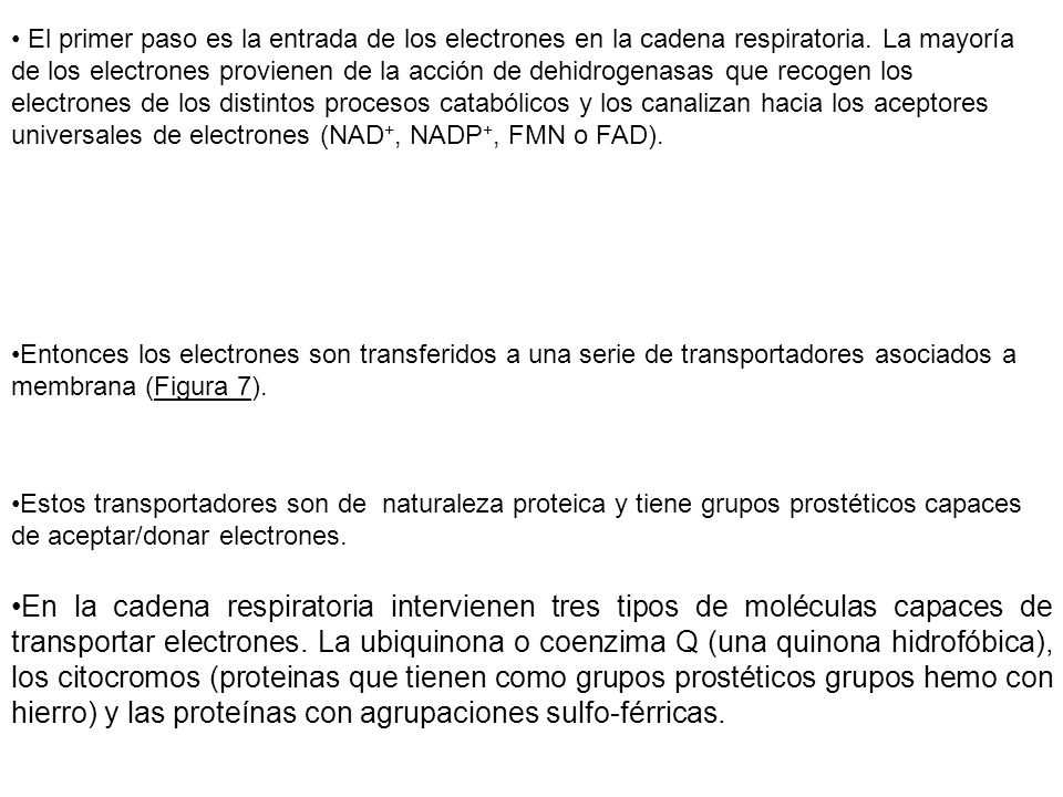 El primer paso es la entrada de los electrones en la cadena respiratoria. La mayoría de los electrones provienen de la acción de dehidrogenasas que recogen los electrones de los distintos procesos catabólicos y los canalizan hacia los aceptores universales de electrones (NAD+, NADP+, FMN o FAD).