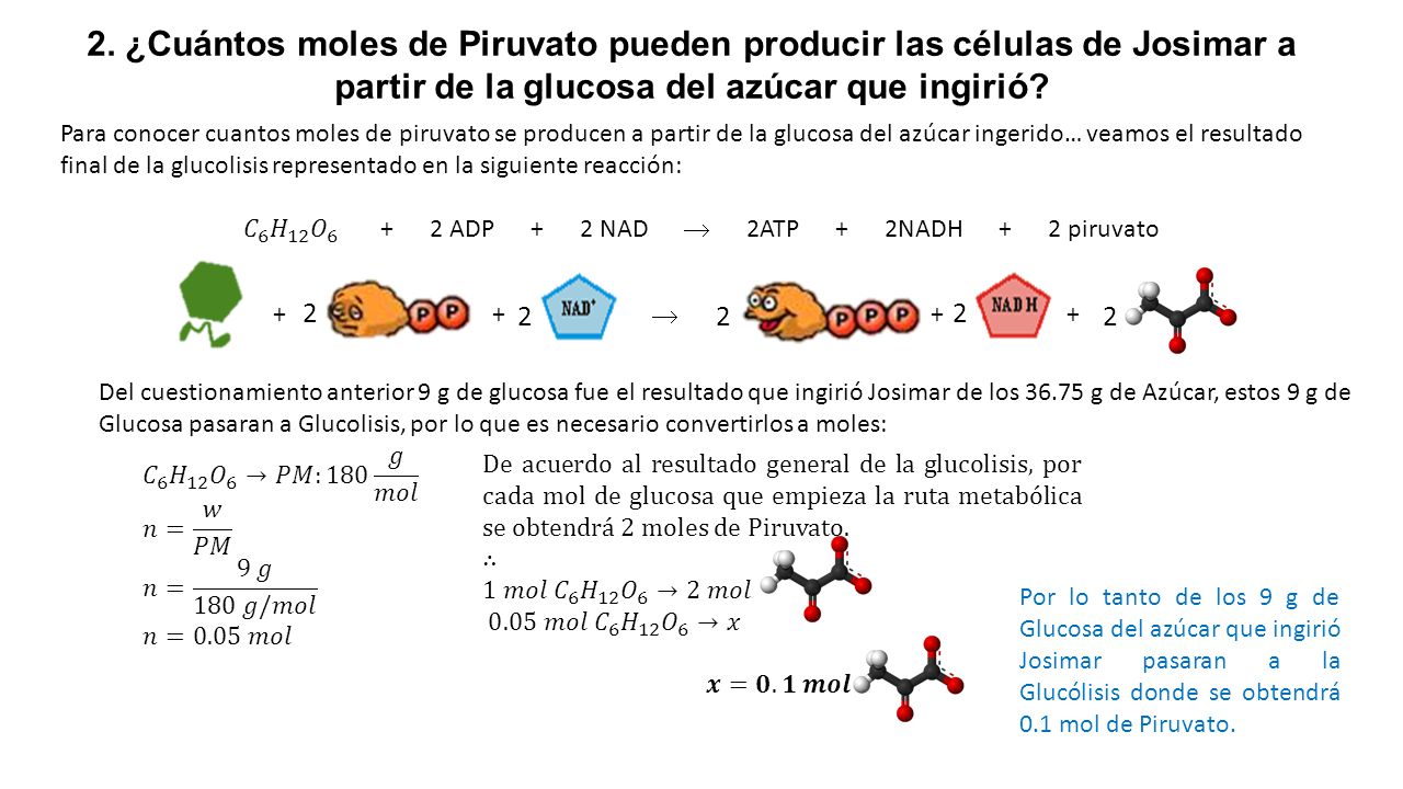 𝐶 6 𝐻 12 𝑂 ADP + 2 NAD  2ATP + 2NADH + 2 piruvato