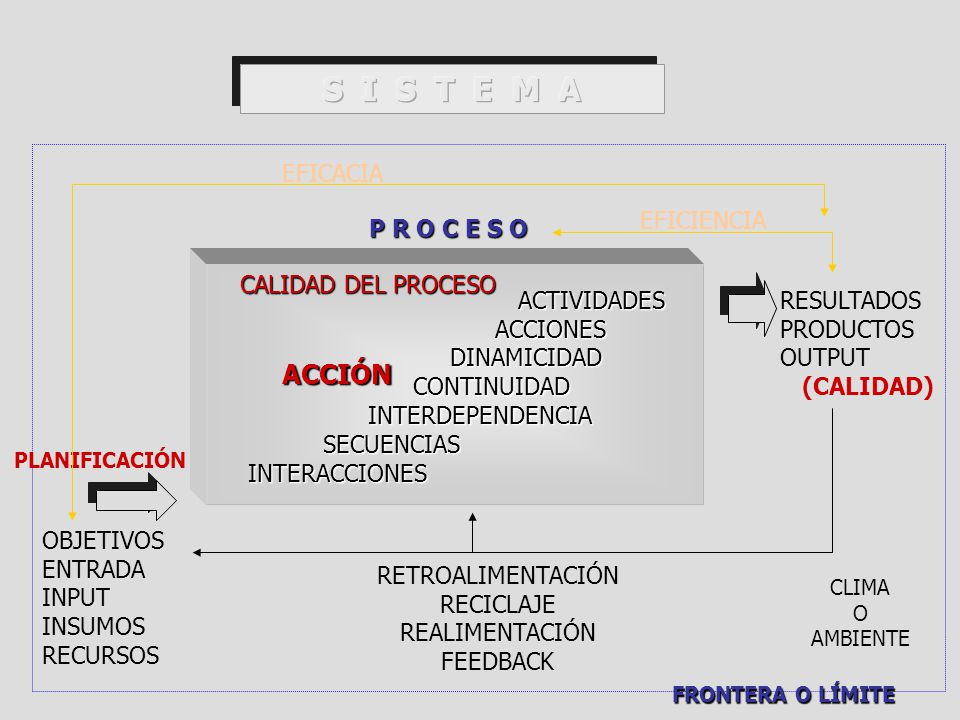 S I S T E M A ACCIÓN EFICACIA EFICIENCIA P R O C E S O