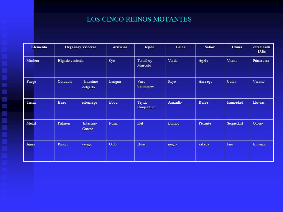 LOS CINCO REINOS MOTANTES