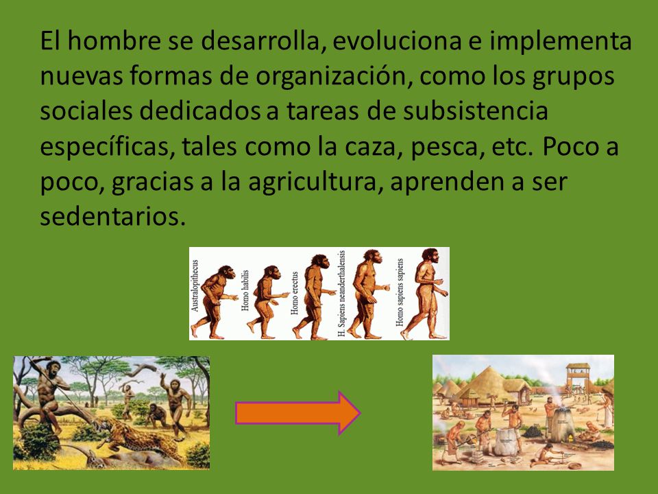 El hombre se desarrolla, evoluciona e implementa nuevas formas de organización, como los grupos sociales dedicados a tareas de subsistencia específicas, tales como la caza, pesca, etc.
