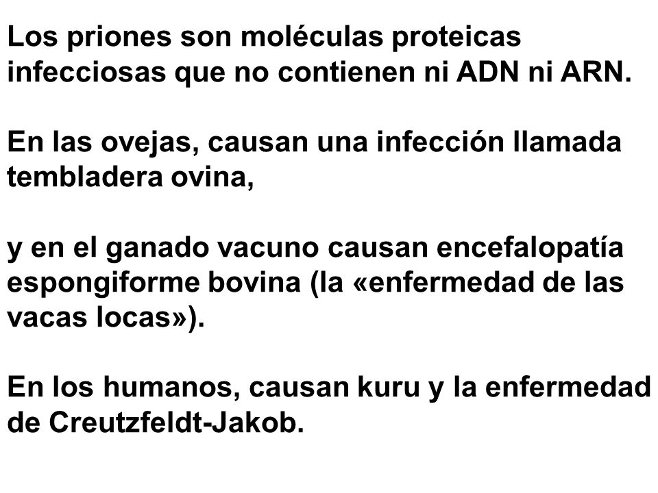 Los priones son moléculas proteicas infecciosas que no contienen ni ADN ni ARN.