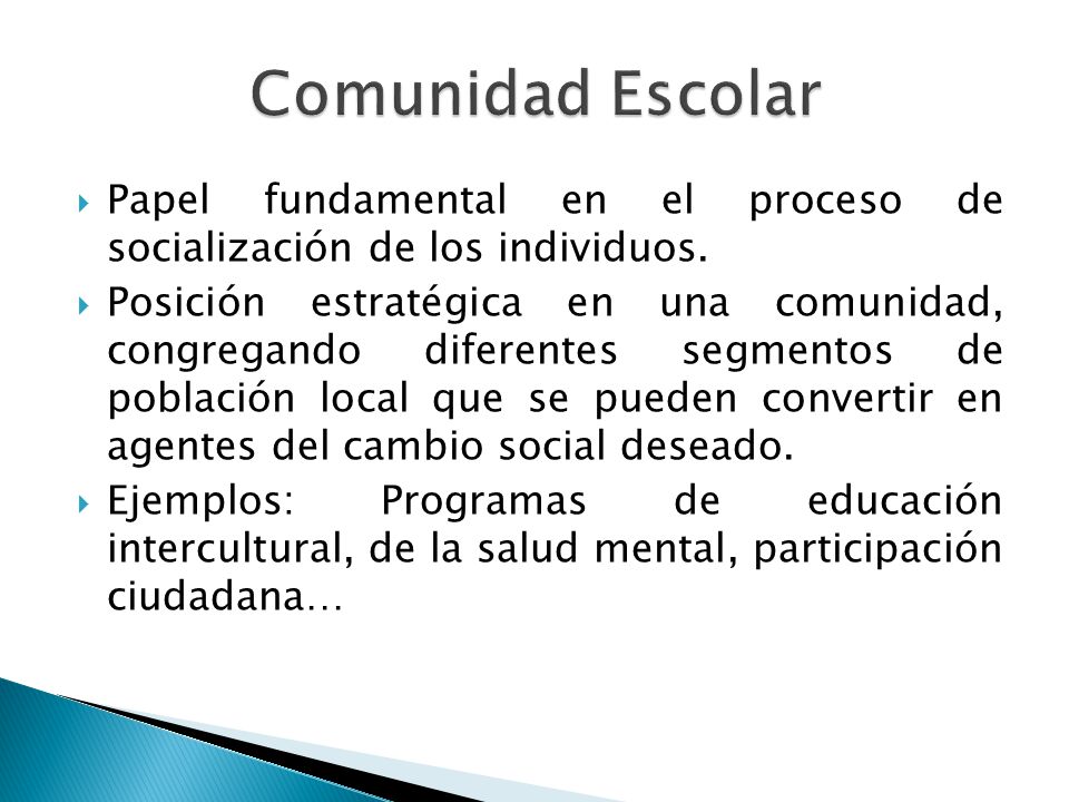Comunidad Escolar Papel fundamental en el proceso de socialización de los individuos.