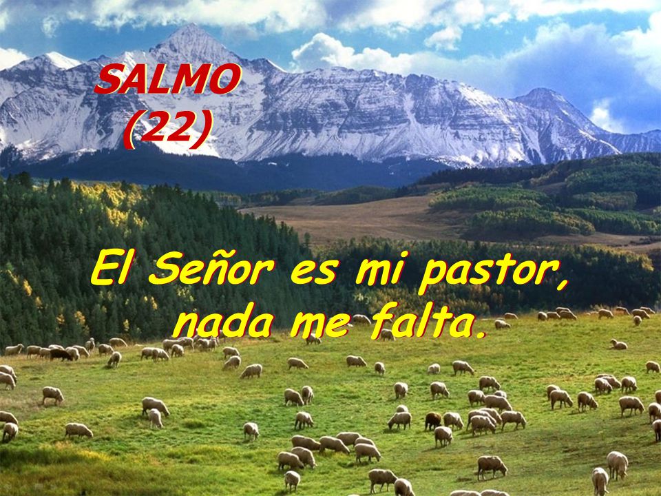 El Señor es mi pastor, nada me falta.