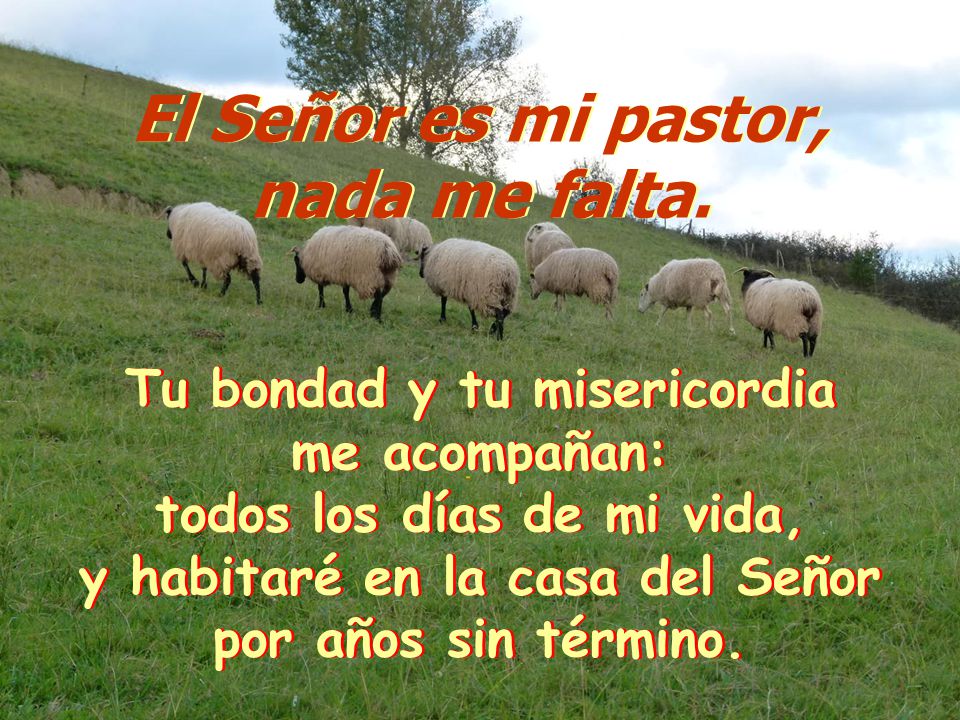 El Señor es mi pastor, nada me falta.