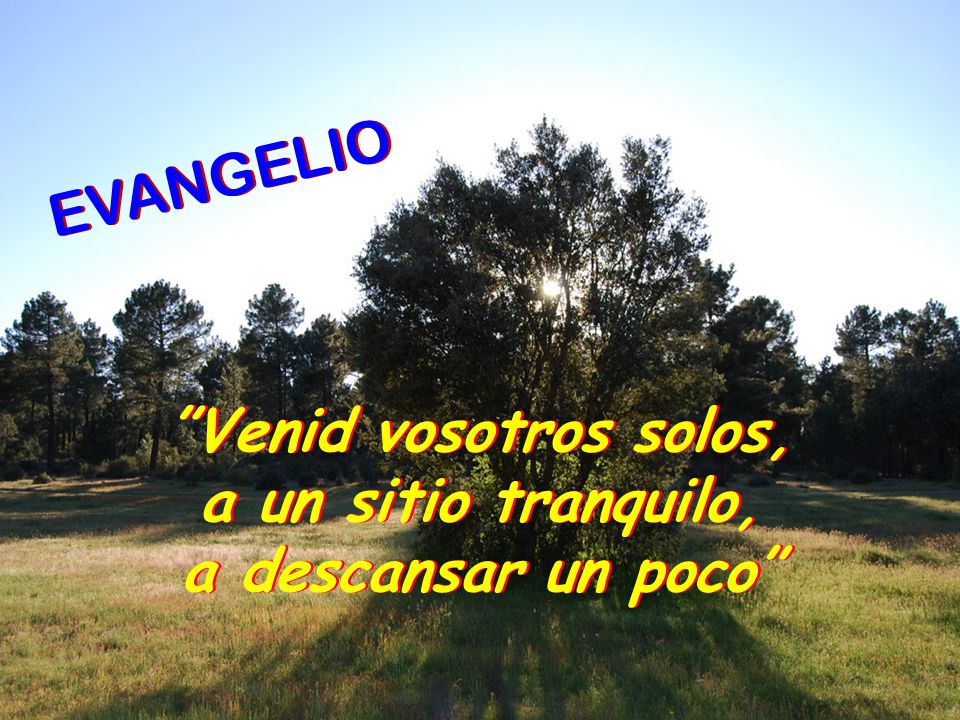 EVANGELIO Venid vosotros solos, a un sitio tranquilo, a descansar un poco