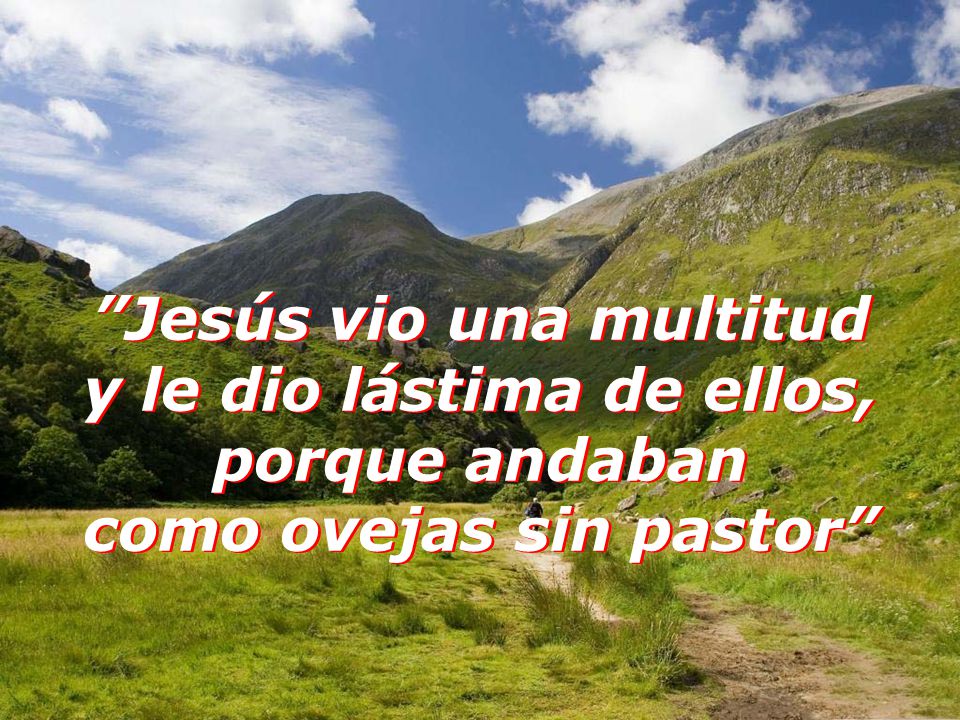 Jesús vio una multitud y le dio lástima de ellos, porque andaban