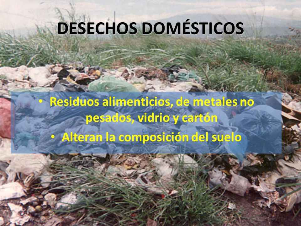 DESECHOS DOMÉSTICOS Residuos alimenticios, de metales no pesados, vidrio y cartón.