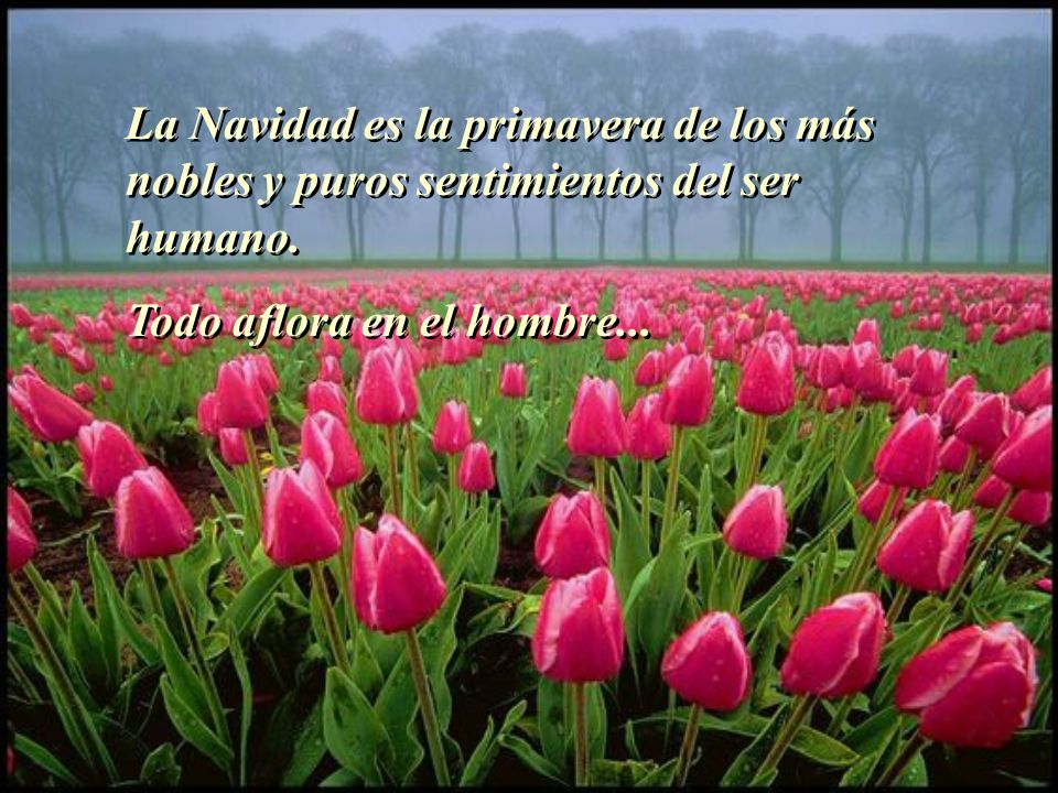 La Navidad es la primavera de los más nobles y puros sentimientos del ser humano.