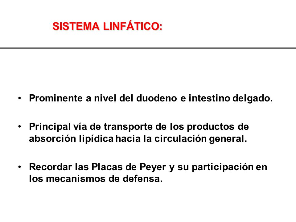 SISTEMA LINFÁTICO: Prominente a nivel del duodeno e intestino delgado.