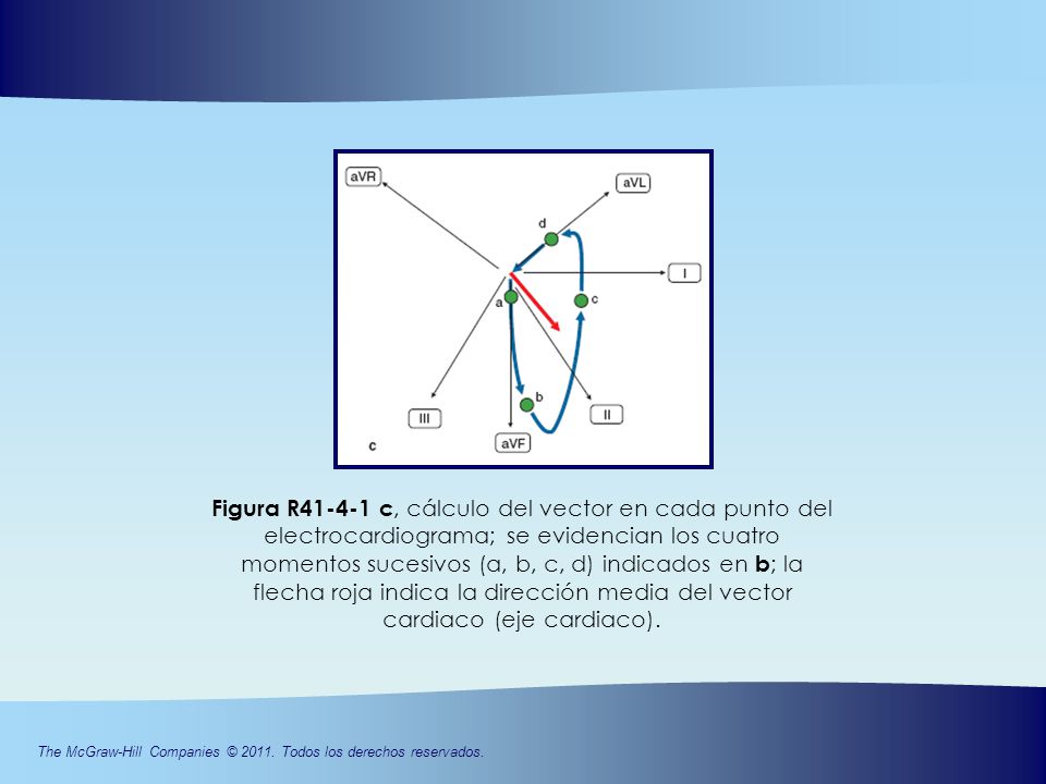 Figura R c, cálculo del vector en cada punto del electrocardiograma; se evidencian los cuatro momentos sucesivos (a, b, c, d) indicados en b; la flecha roja indica la dirección media del vector cardiaco (eje cardiaco).