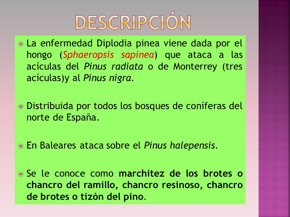 DESCripciÓn