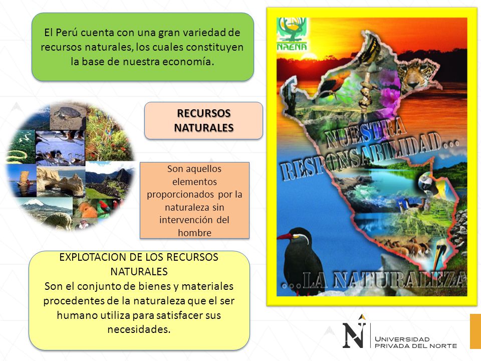 EXPLOTACION DE LOS RECURSOS NATURALES