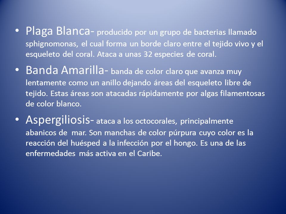 Plaga Blanca- producido por un grupo de bacterias llamado sphignomonas, el cual forma un borde claro entre el tejido vivo y el esqueleto del coral. Ataca a unas 32 especies de coral.