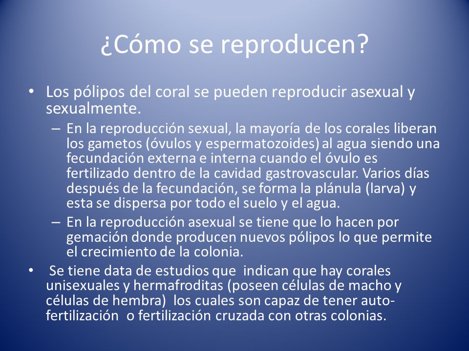 ¿Cómo se reproducen Los pólipos del coral se pueden reproducir asexual y sexualmente.