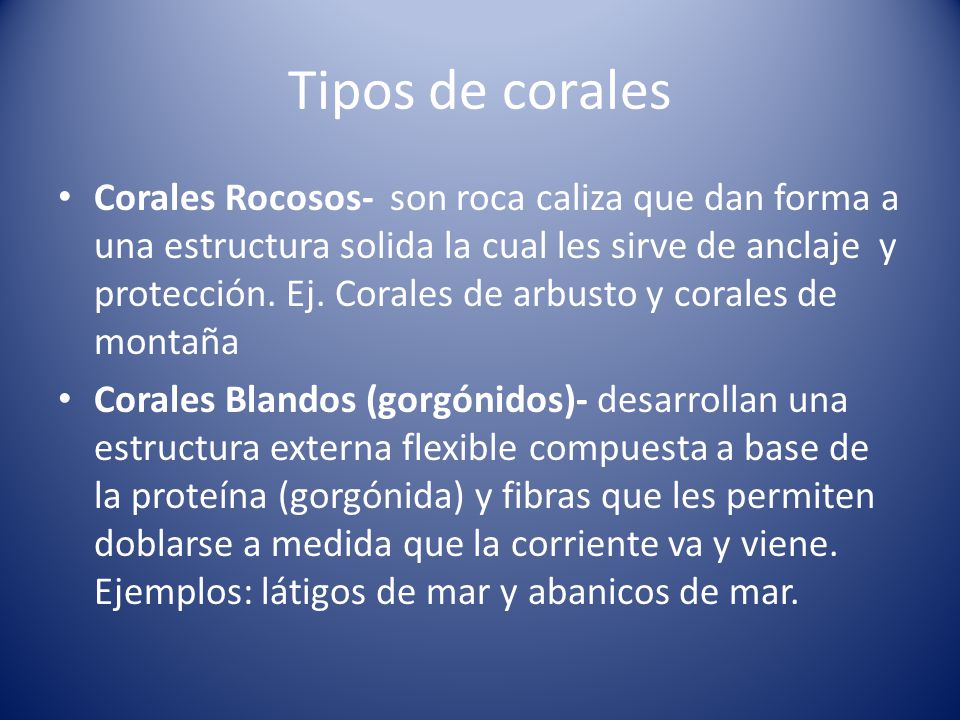 Tipos de corales