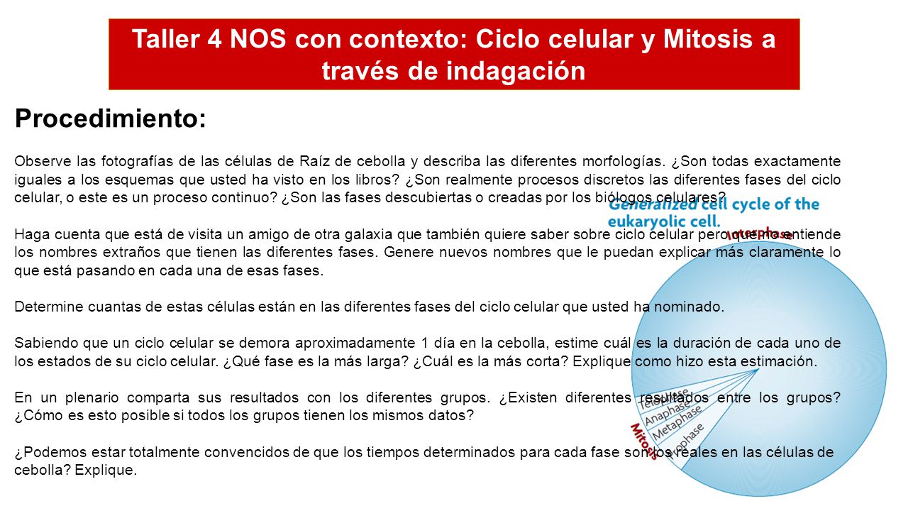 Taller 4 NOS con contexto: Ciclo celular y Mitosis a través de indagación