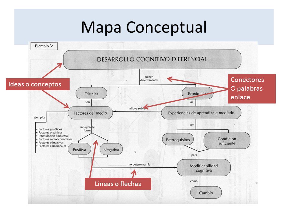 Mapa Conceptual Conectores O palabras enlace Ideas o conceptos