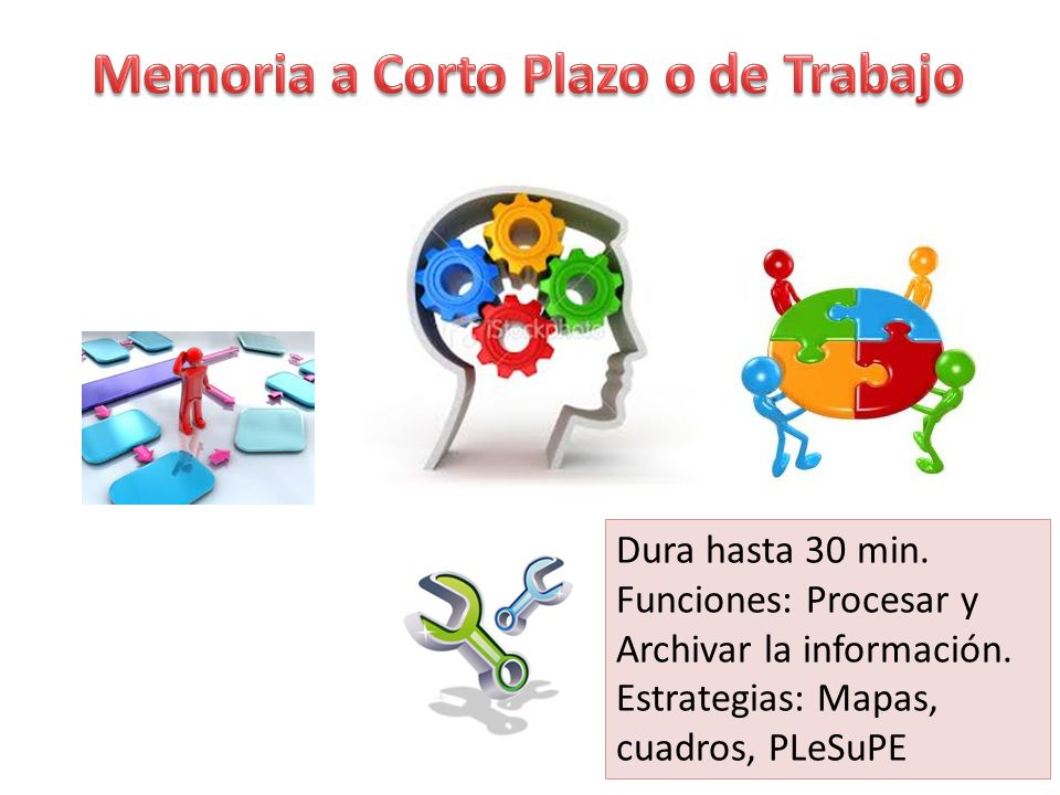 Memoria a Corto Plazo o de Trabajo