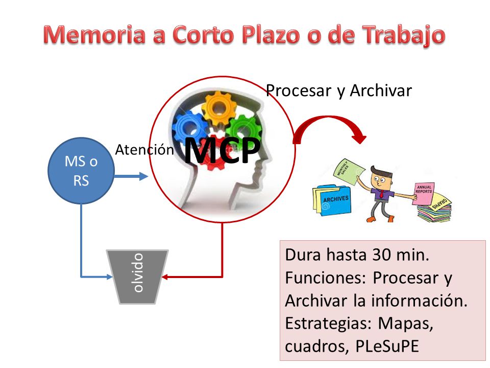Memoria a Corto Plazo o de Trabajo