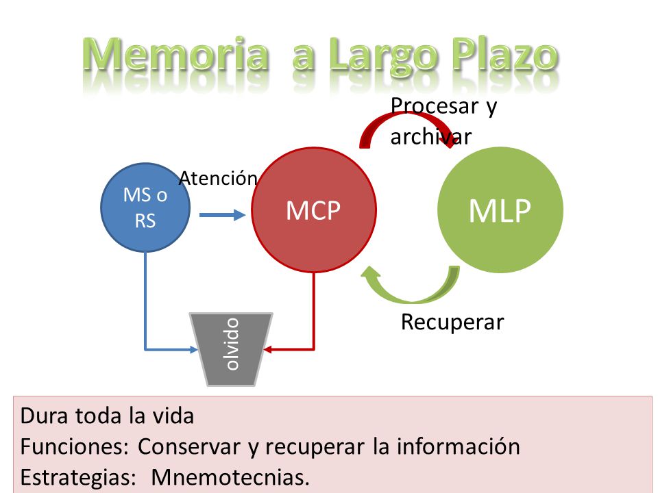 Memoria a Largo Plazo MLP MCP Procesar y archivar Recuperar
