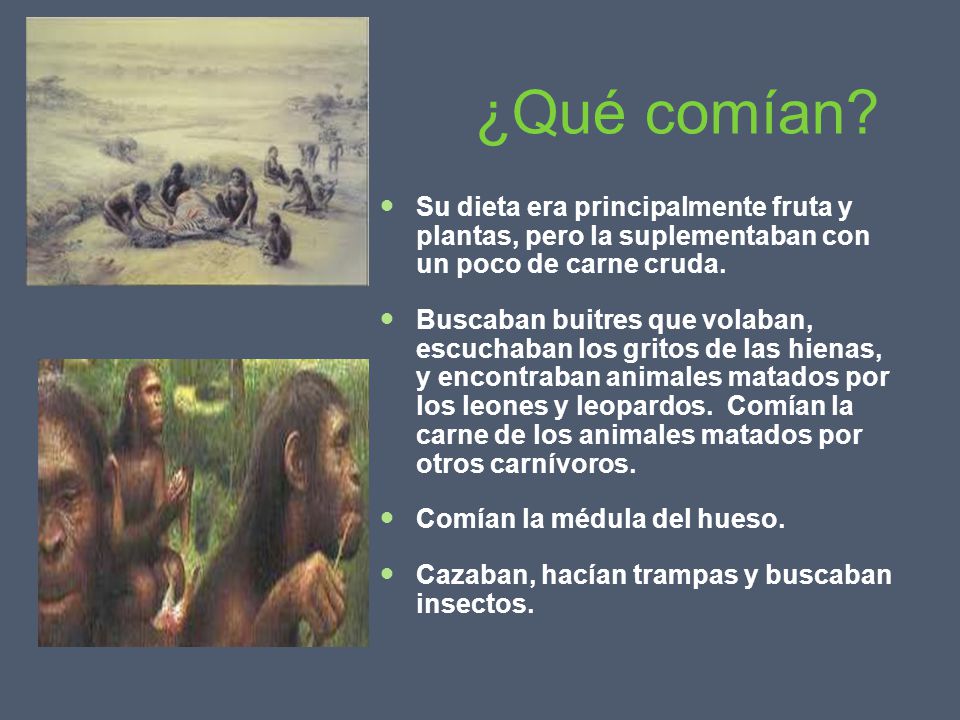 ¿Qué comían Su dieta era principalmente fruta y plantas, pero la suplementaban con un poco de carne cruda.
