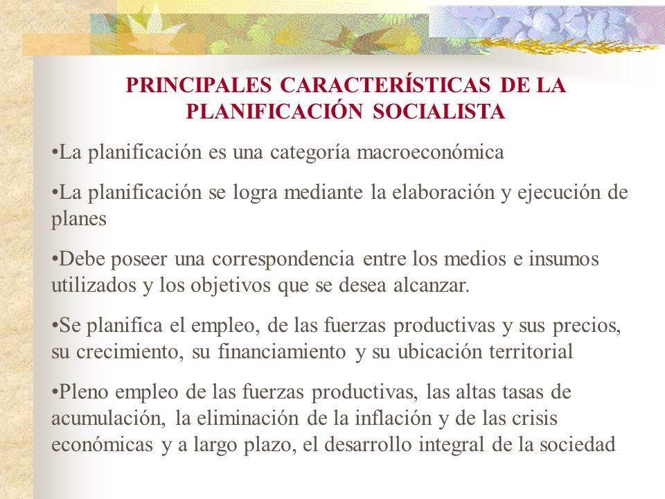 PRINCIPALES CARACTERÍSTICAS DE LA PLANIFICACIÓN SOCIALISTA
