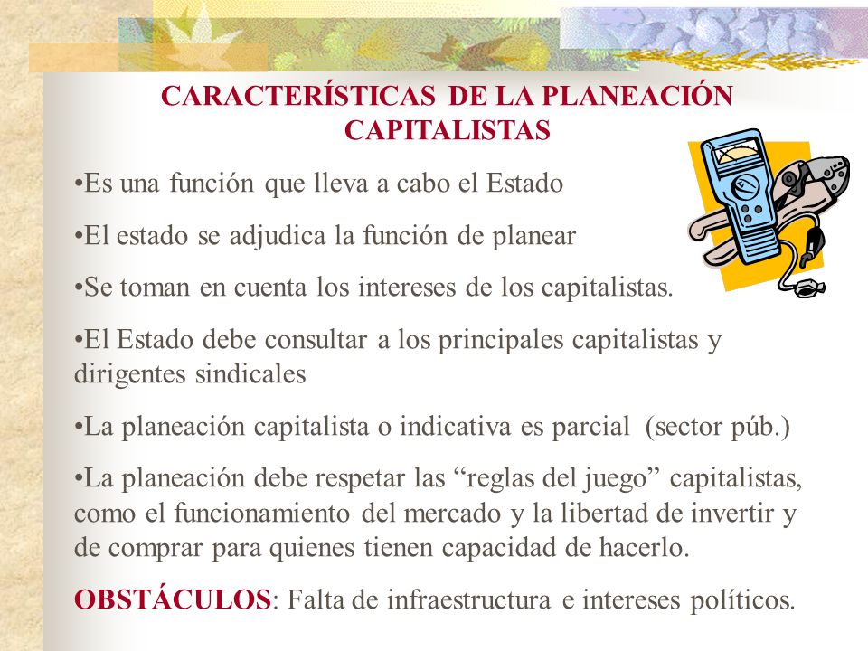 CARACTERÍSTICAS DE LA PLANEACIÓN CAPITALISTAS