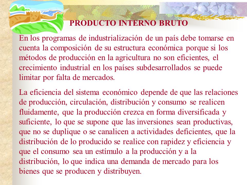 PRODUCTO INTERNO BRUTO