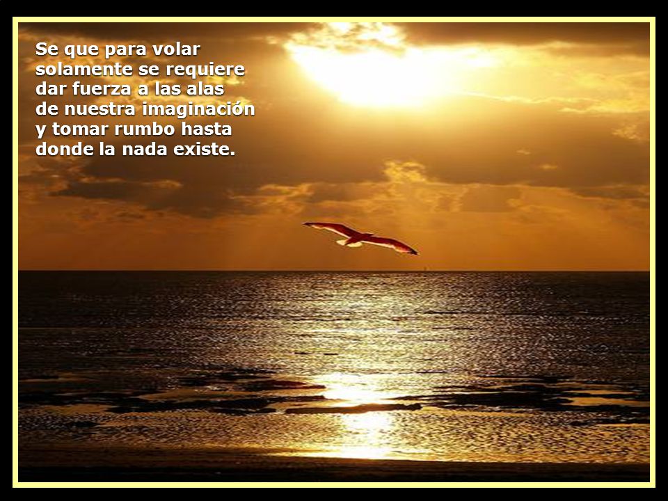 Se que para volar solamente se requiere dar fuerza a las alas