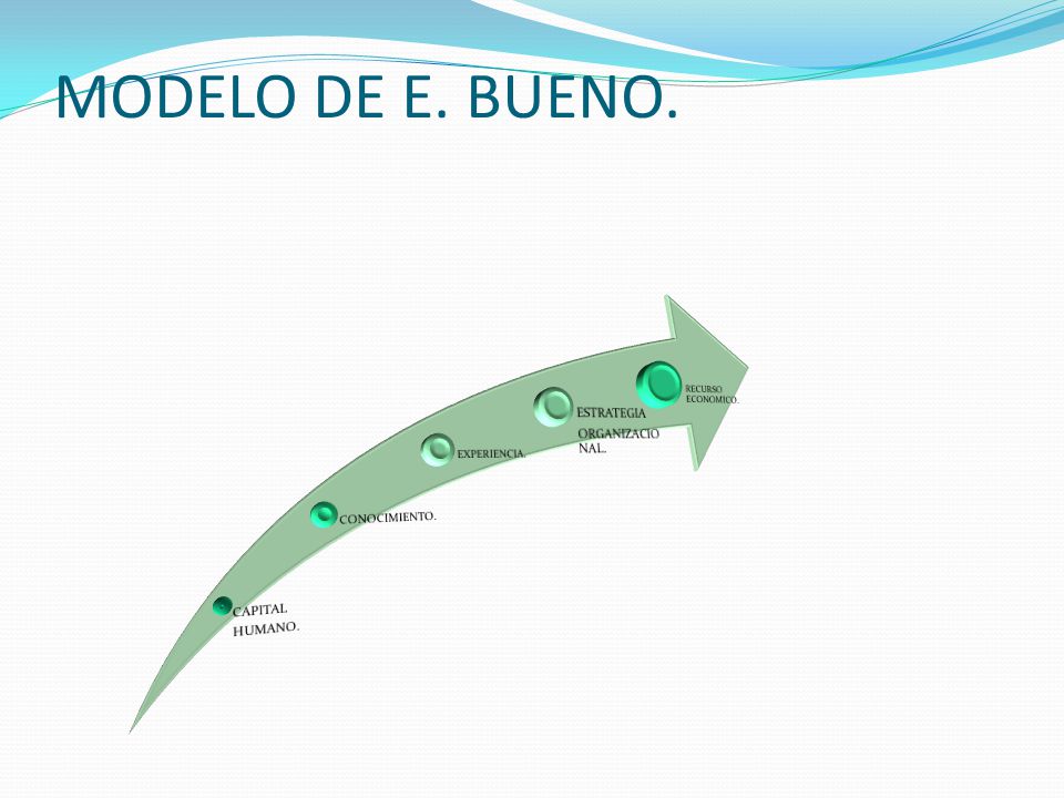 MODELO DE E. BUENO. ESTRATEGIA ORGANIZACIONAL. RECURSO ECONOMICO.