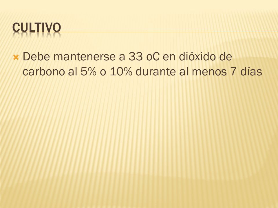 Cultivo Debe mantenerse a 33 oC en dióxido de carbono al 5% o 10% durante al menos 7 días
