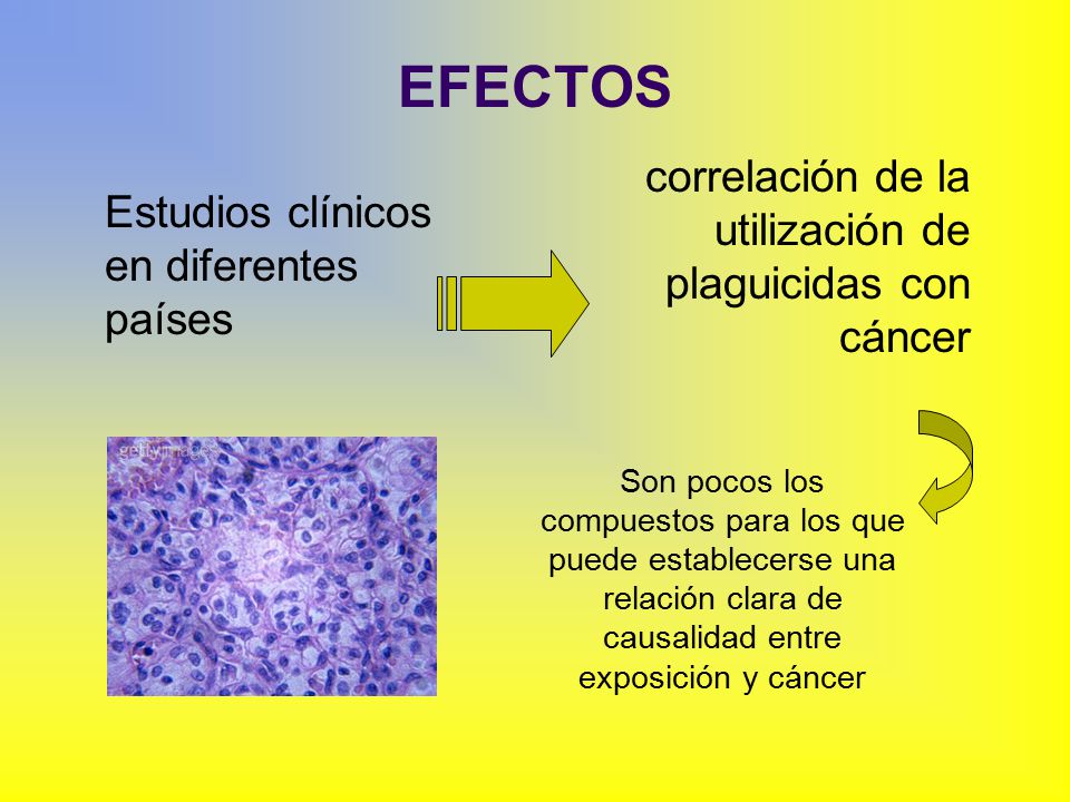 EFECTOS correlación de la utilización de plaguicidas con cáncer